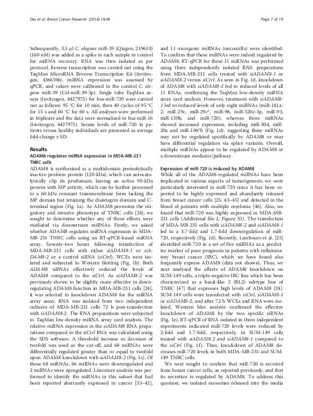 breast cancer essays